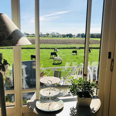 Bed & Breakfast Het Zilte Zand - Luxe Ontbijt - Gratis Parking - Westende 미들케르케 외부 사진